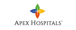 apex logo